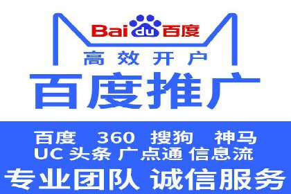 SEM服务公司成功案例解读